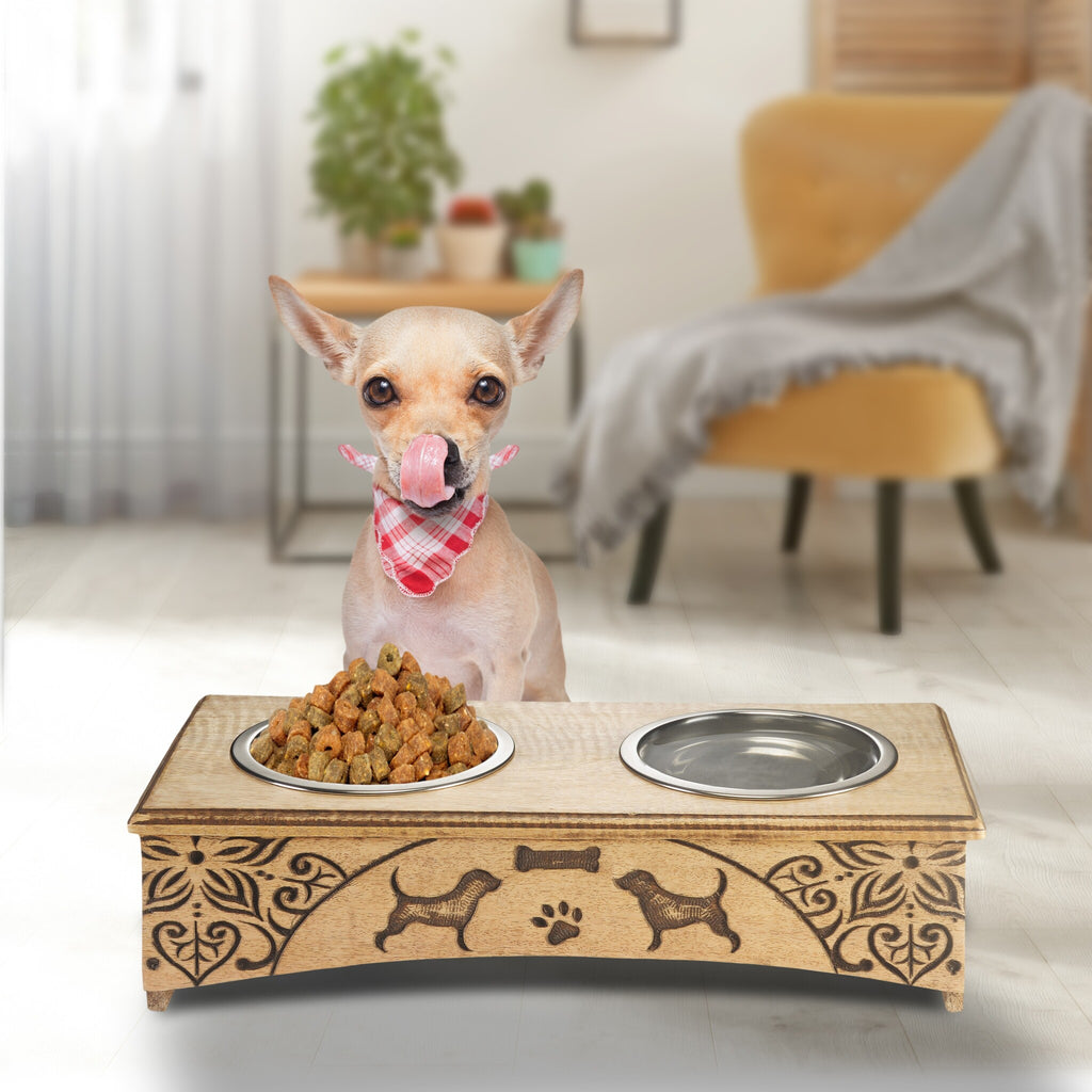 Double Pet Feeder with Removable Bowls